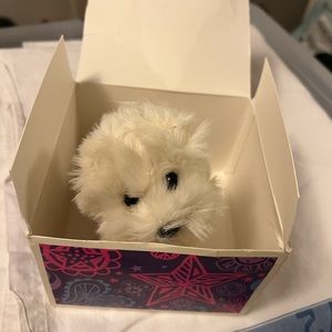 AMERICAN GIRL COCONUT RETIRED with accessories